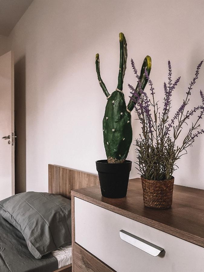 Cozy 3 bedrooms flat in Paceville St. Julian's Zewnętrze zdjęcie